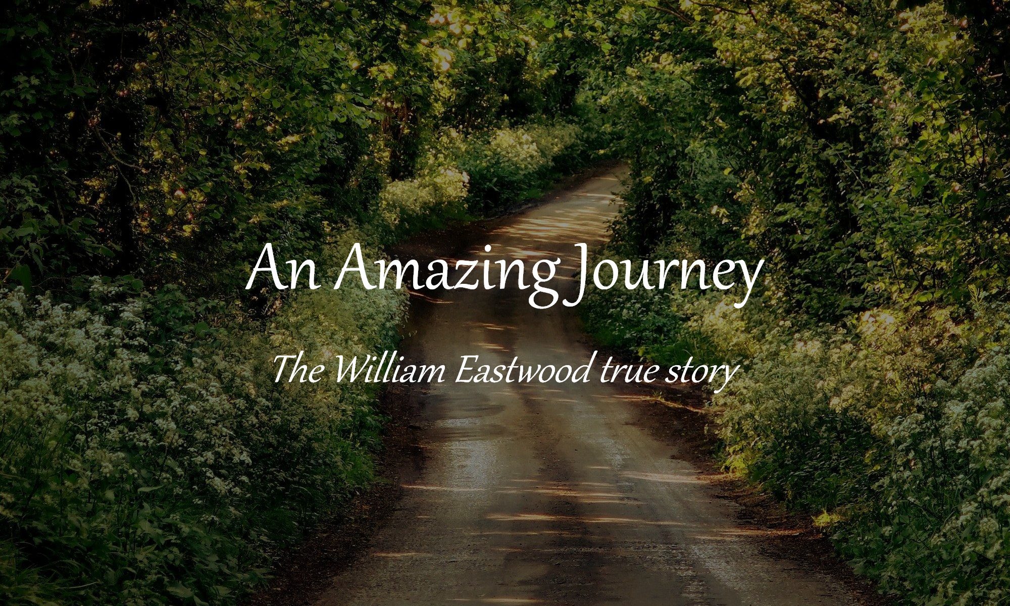 William Eastwood Colorado resident An Amazing Journey information contact information true story