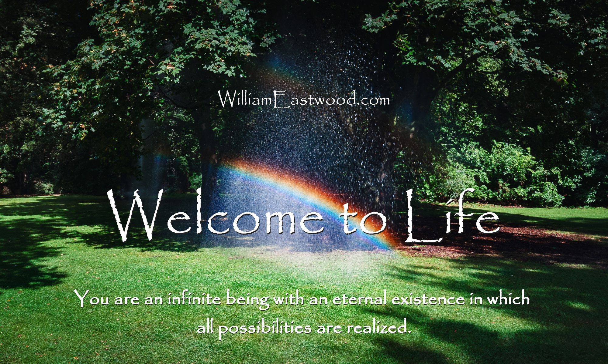 williameastwood.com what-is-the-nature-of-reality-you-are-at-the-center-of-an-infinite-web-of-probabilities-William-Eastwood-science-philosophy-website-books