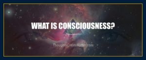 What is consciousness definition meaning description science