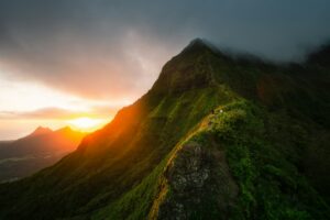 Find a Community Living Off-Grid Pahoa