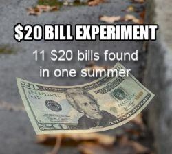 Scientific research experiment
