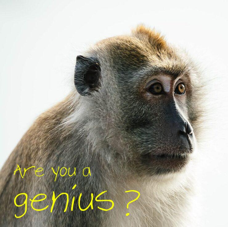 Genius