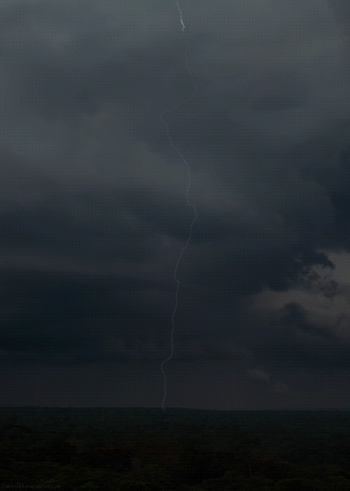 Cloud to ground lightning strike gif.